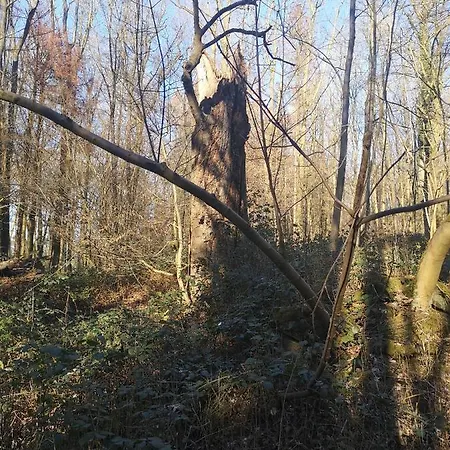 Mines De Ryen La Bruyere
